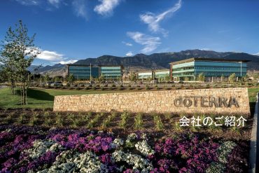 オンラインで完結